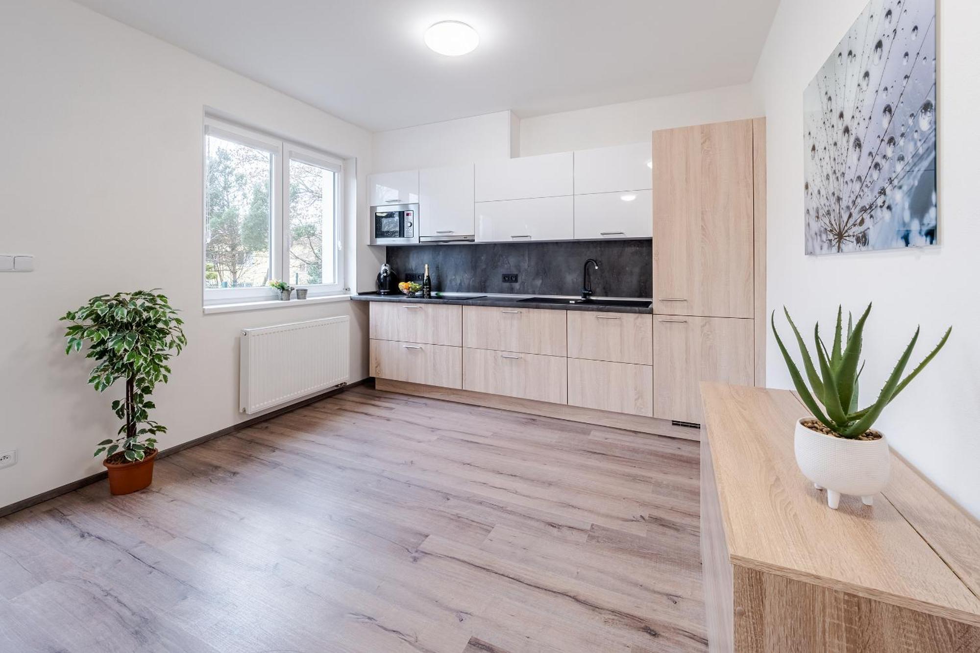Private Luxury Apartments - Apartman G3 Frymburk Bagian luar foto